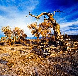 《异度神剑》系列高桥哲哉招聘开发者 制作“新作RPG”