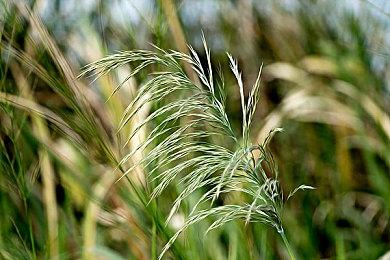 《仙剑奇侠传七》公布RTX光线追踪演示视频